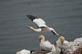 07DJ-2008-019 Bild049